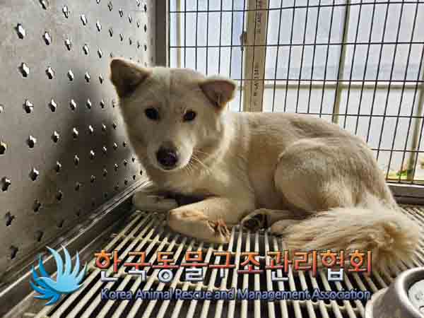 한국동물구조관리협회_411311202400894